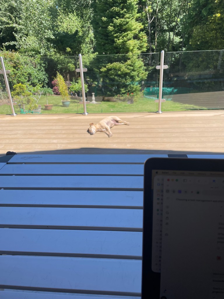 Pikachu enjoying Heatwave 3.0
