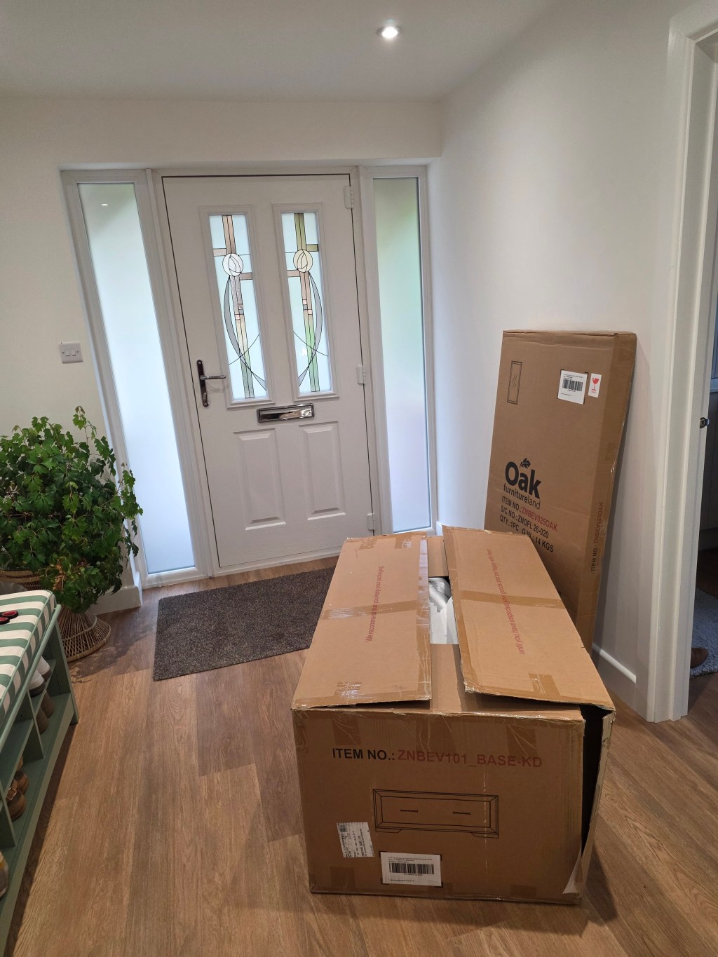 Dawn Deliveries, Flat-Pack Gladiators, and The Architect’s Inspection