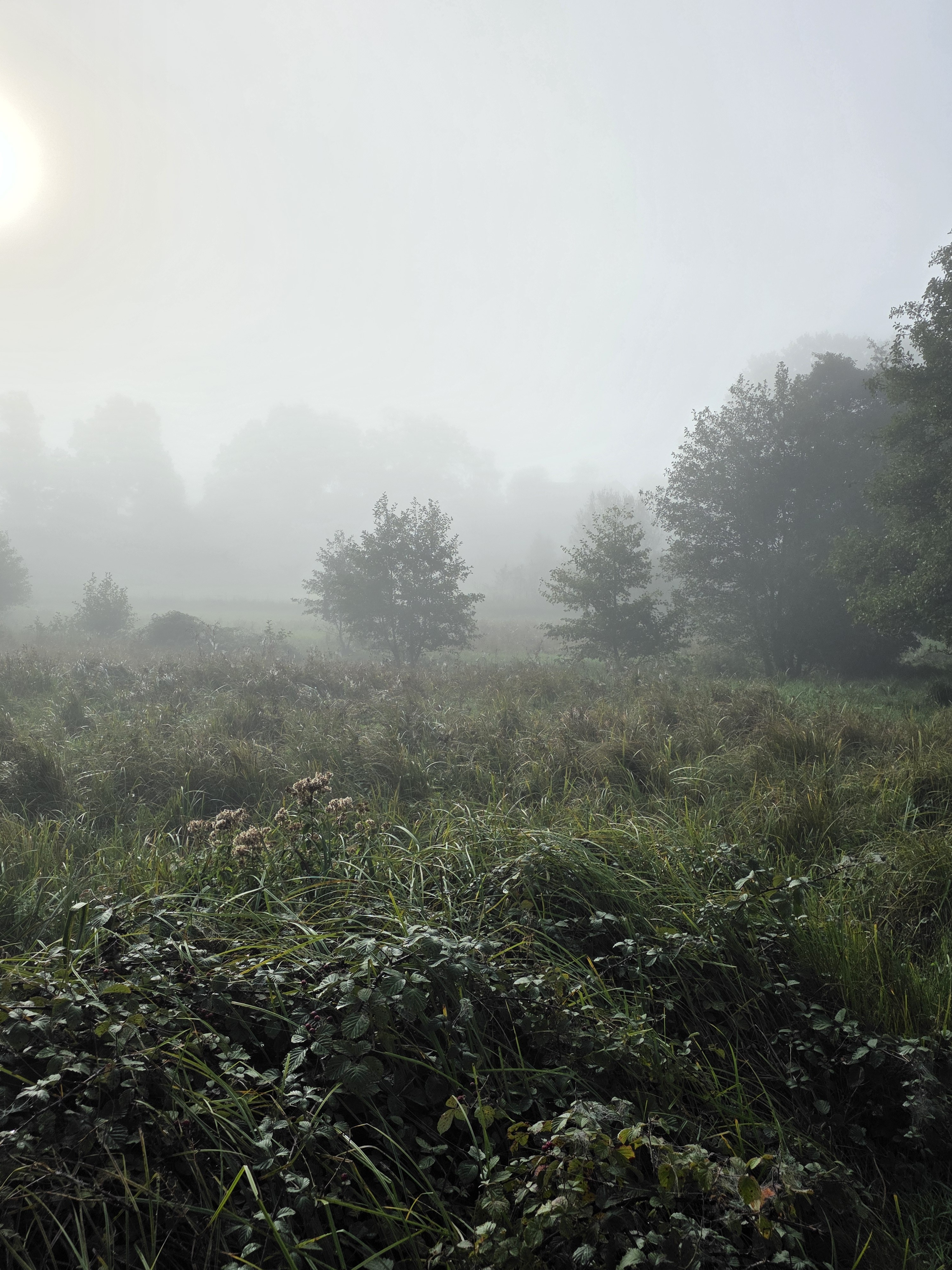 A Look Ahead: Pit Stops, Plant Rescue Centres, and Chestnut Warfare